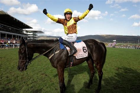 Cheltenham Gold Cup Odds & Runners .